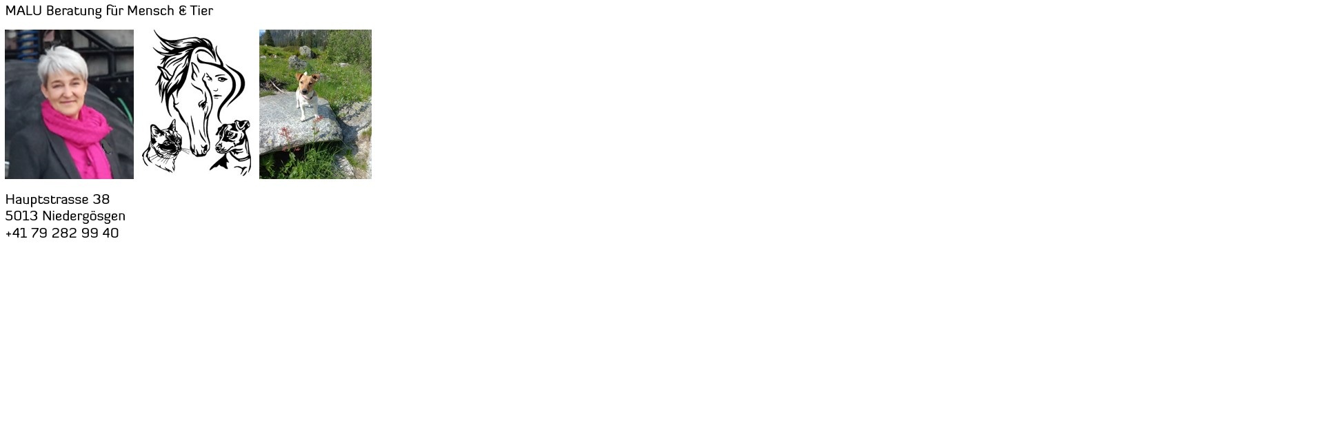 Start page image for sales-partner's sales-channel